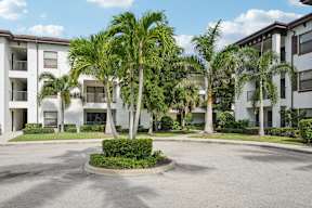 A palm tree in front of a white building.