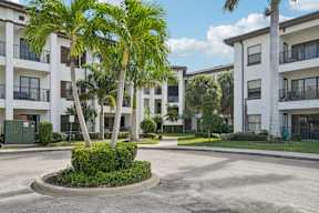 A palm tree stands in front of a white apartment building.