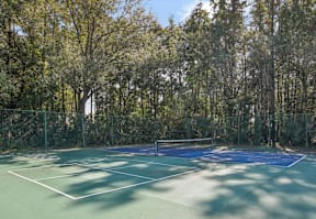 A tennis court surrounded by trees.