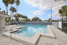 A pool surrounded by palm trees and a fence.