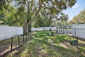 A playground with a swing set and a tree in the middle of a grassy area.
