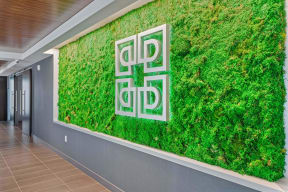a green wall with a buddha quote on it