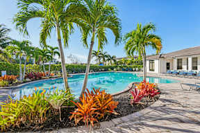A pool surrounded by palm trees and plants.
