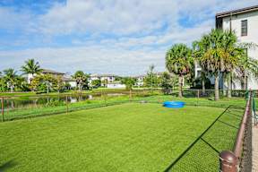 A backyard with a green lawn and a blue pool.