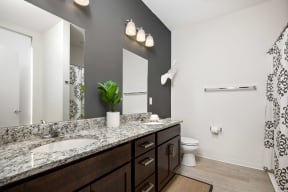 a bathroom with a sink and a toilet and a mirror