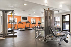 a gym with cardio equipment and weights on the floor