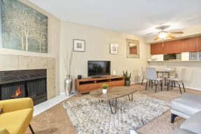 a living room with a fireplace and a television