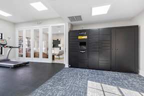 A room with a black LEXUS storage unit and a treadmill.