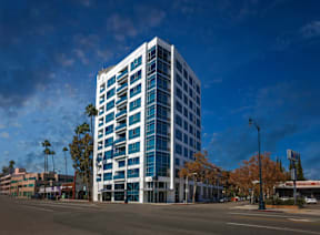 A tall building with blue glass windows stands in front of palm trees.