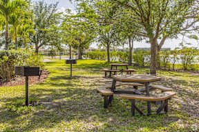 Picnic and BBQ area