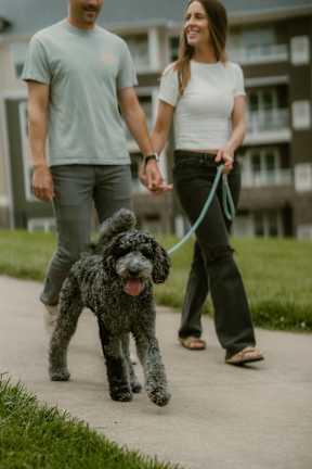 A man and woman walking a dog on a leash.