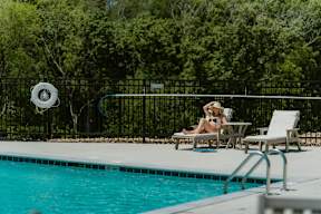 A woman is sunbathing by a pool.