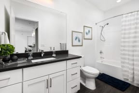 a bathroom with a sink and a toilet and a shower
