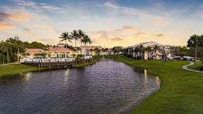a picture of a river with palm trees