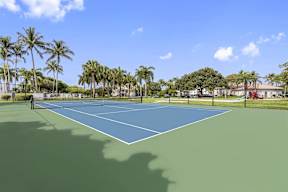 a blue and green tennis court with palm trees
