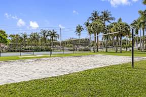 a volleyball court in a park with palm trees