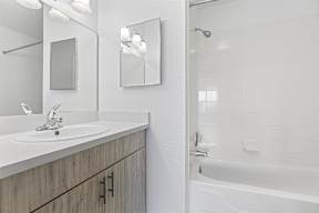 a bathroom with a sink and a shower and a mirror