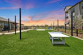 a yard with a picnic table and ping pong table