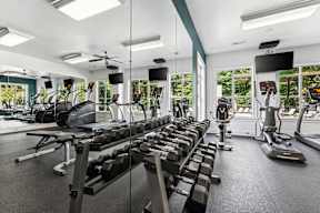 A well-equipped gym with various exercise machines and weights.