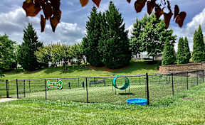 A playground with a green slide and a blue pool in the foreground.