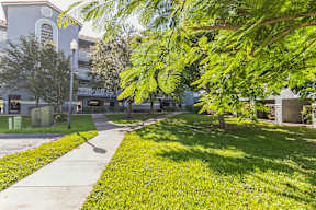 A tree branch is in the foreground of a sunny street.