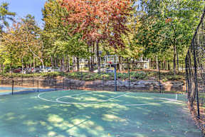 A basketball court surrounded by trees in autumn.