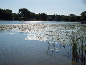 Lake View