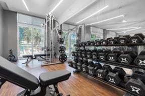 the gym has weights and cardio equipment and a view of the gymnasium