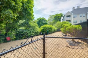 Fenced dog park