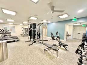 A gym with a variety of equipment including treadmills, weights, and benches.