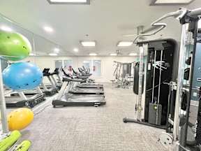 A gym with treadmills, weights, and exercise balls.