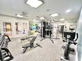 A well-equipped gym with various exercise machines and weights.