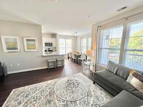 A living room with a grey couch and a rug with a globe design on it.