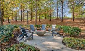 A park bench is surrounded by trees and plants.