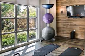 A room with a purple exercise ball on a stand and a black exercise mat on the floor.