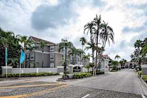 A street view of a residential area with palm trees and a building in the background.