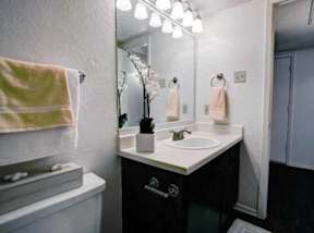 Spacious Bathrooms with a Large Vanity
