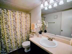Spacious Bathrooms with a Large Vanity