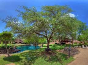 Creekside Views with shade to relax