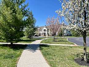 Walking Trails