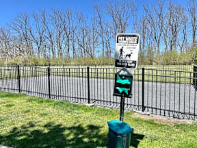 Dog Park