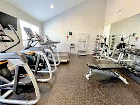 A gym with treadmills, exercise bikes, and weightlifting equipment.