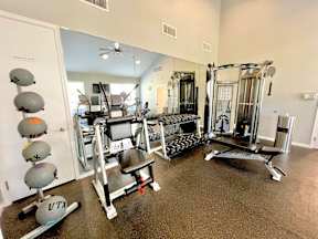 A gym with a weight bench, a squat rack, and a rowing machine.