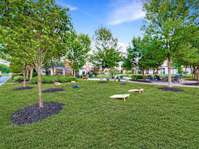 Common Area - Cornhole