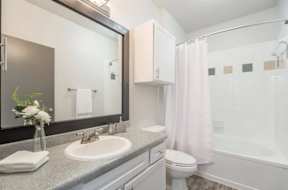 a bathroom with a sink and a mirror