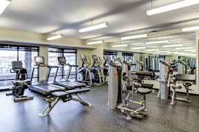 A gym with treadmills, exercise bikes, and weight machines.