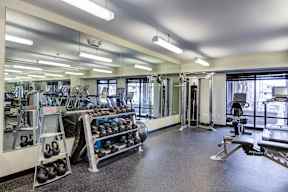 2-Bedroom Apartments in Osseo, MN | 5 Central | Fitness Center with Free Weights, Kettlebells, Exercise Ball, Strength Training Equipment, Cardio Machines, Mirror Wall, and Floor-to-Ceiling Windows.