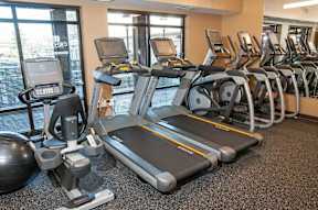 A gym with treadmills, elliptical machines, and other exercise equipment.
