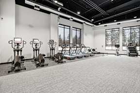 A gym with a row of stationary bikes and a treadmill.