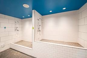 A white tiled bathroom with a blue ceiling and a walk-in shower.